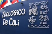 Zoologico de Cali