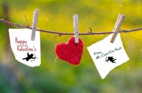 Happy Valentine’s day!